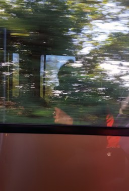 On the train from Paris to Evreux.